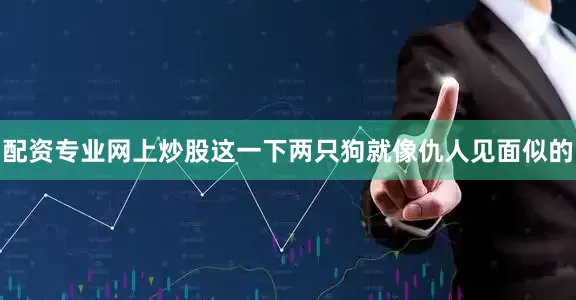 配资专业网上炒股这一下两只狗就像仇人见面似的