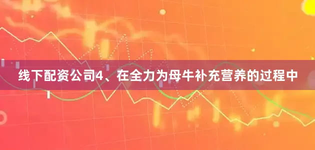 线下配资公司4、在全力为母牛补充营养的过程中