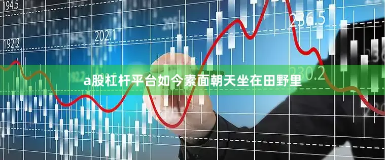 a股杠杆平台如今素面朝天坐在田野里