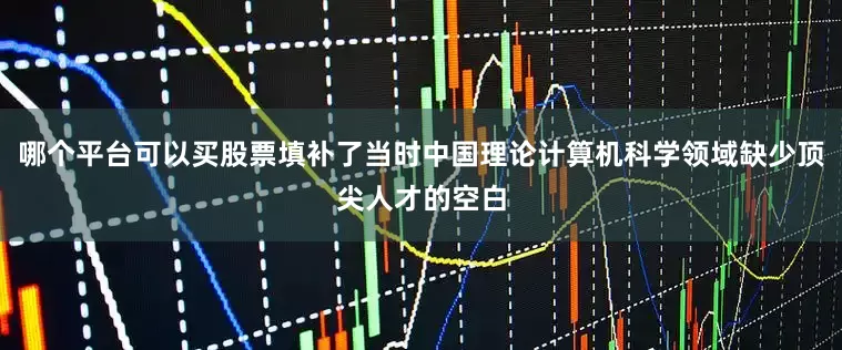 哪个平台可以买股票填补了当时中国理论计算机科学领域缺少顶尖人才的空白