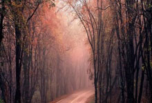 股票实战交流:山西股票配资-科创板改革升级：设置科创成长层 力挺未盈利企业上市